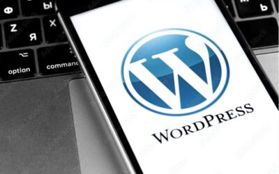 How to display and get ACF fields in WordPress